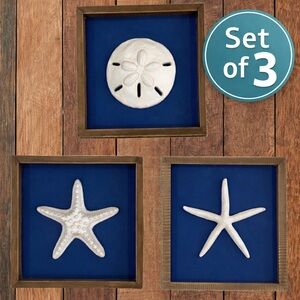 Hobby Lobby Coastal Wall Decor Set of 3 Sand Dollar Starfish Nautical Art